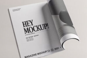 Magazine
